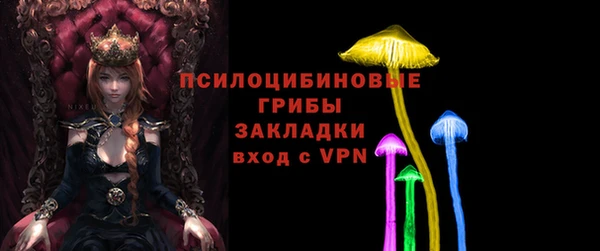 прущие грибы Лагань