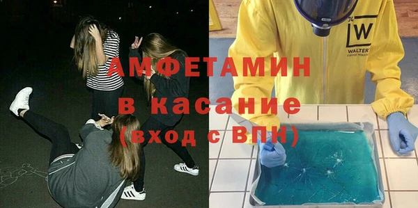 прущие грибы Лагань