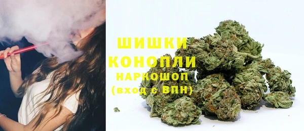 прущие грибы Лагань
