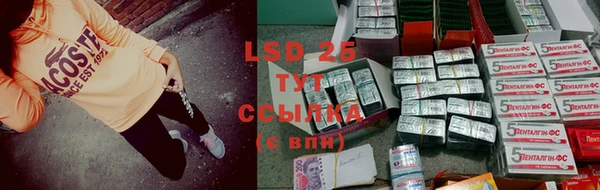 прущие грибы Лагань