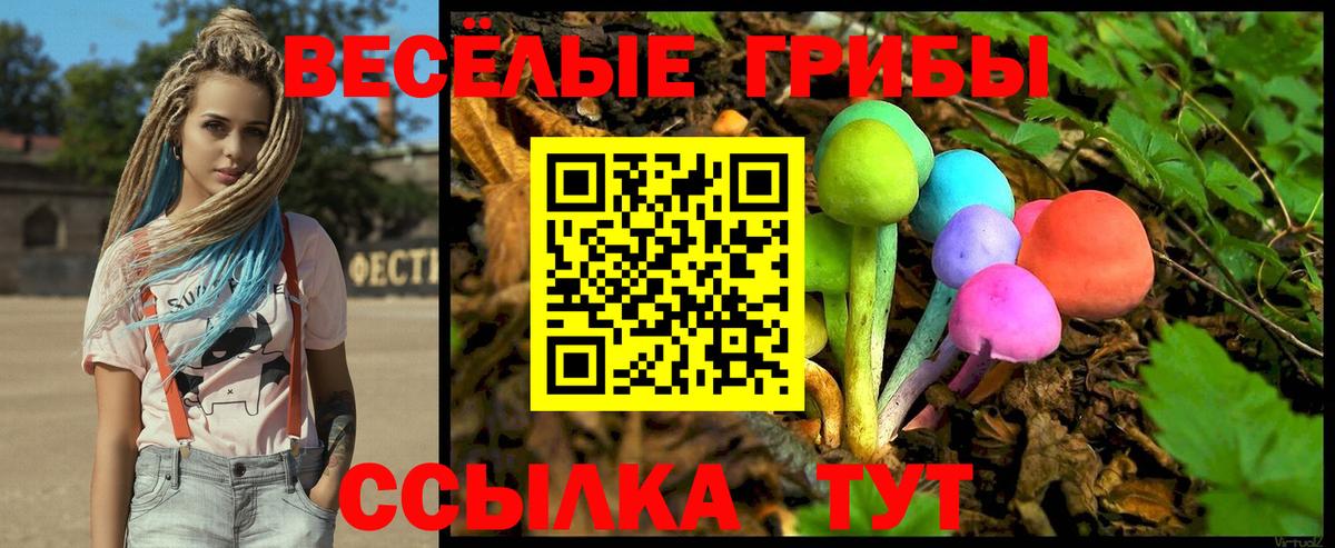 Псилоцибиновые грибы Cubensis  сколько стоит  Волжский  Вход с VPN  Галлюциногенные грибы ЛСД 