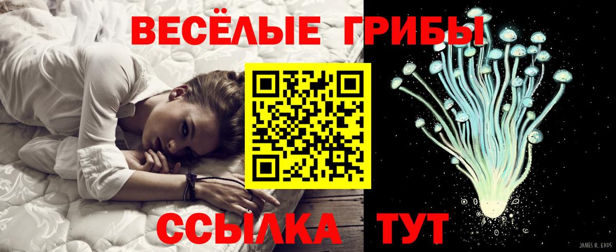 Галлюциногенные грибы ЛСД Волжский